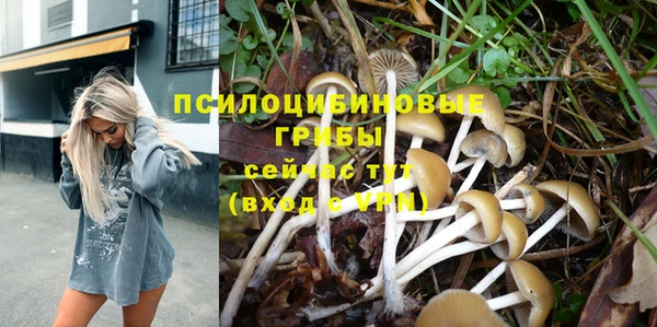 бошки Балабаново