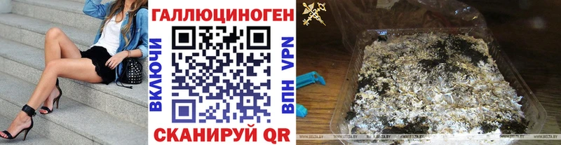 Галлюциногенные грибы Psilocybine cubensis  купить наркоту  Котельниково 